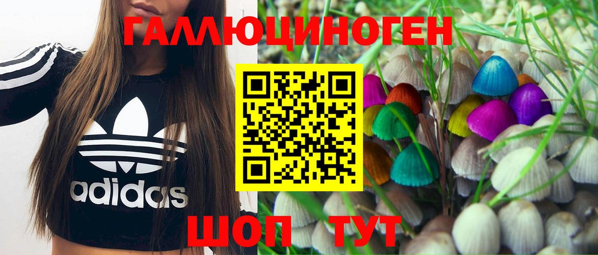 Галлюциногенные грибы GOLDEN TEACHER  Псилоцибиновые грибы мицелий  Ангарск  Вход с VPN 