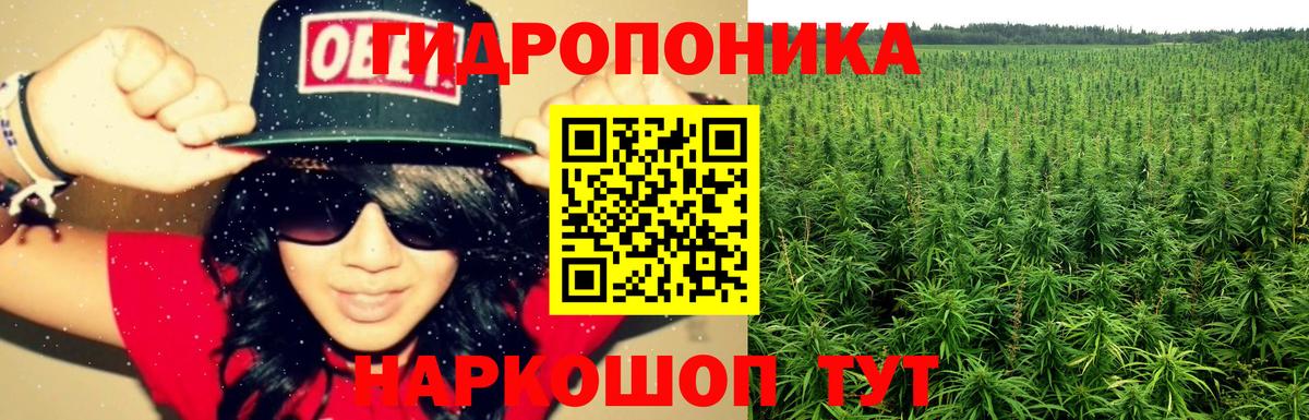 Ангарск  Шишки марихуана Ganja  Вход с VPN  Конопля White Widow 